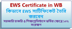 ews reservation certificate