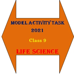 Class 9 Life Science Model Activity Task