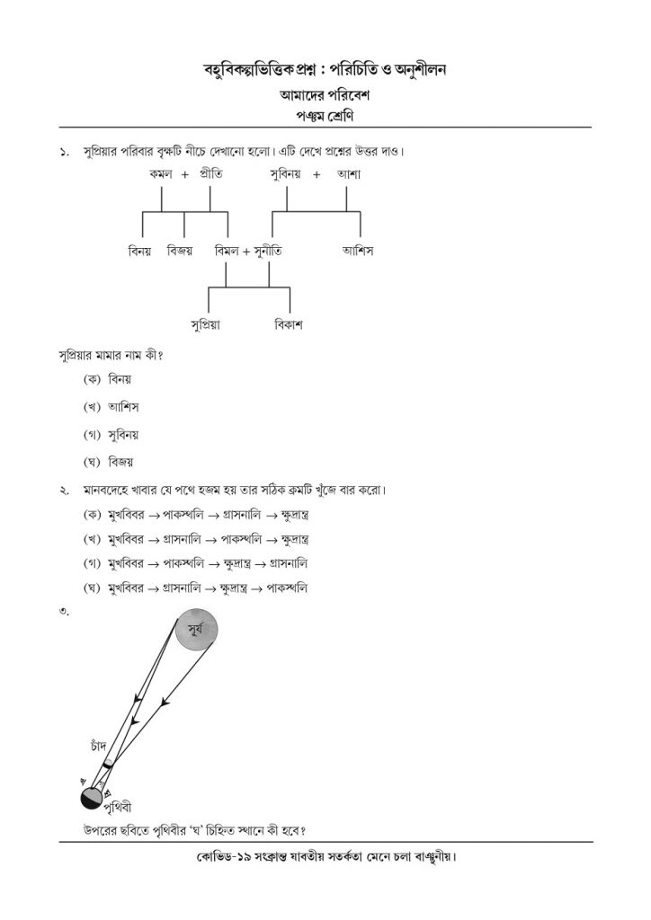 Class 5 MCQ Adaption Package