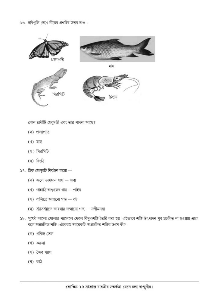 Class 5 MCQ Adaption Package