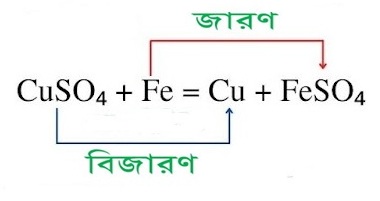 Class 8 Paribesh Model Activity Task October, 2021 Part- 7